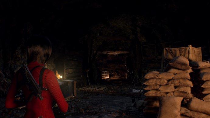 RE4 Separate Ways выполнение поручений за Аду Вонг. Глава 5 - найти трех жуков